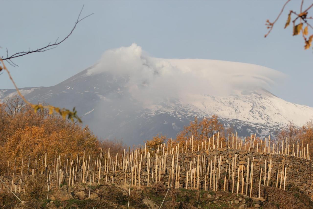 Agriturismo Le Case Del Merlo Milo Zewnętrze zdjęcie